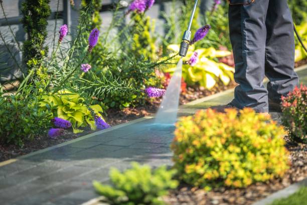 Best Parking Lot and Garage Cleaning  in Riverview, DE