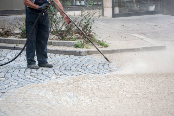 Best Fence Cleaning  in Riverview, DE